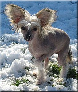 Marachinos Chrystal Fall