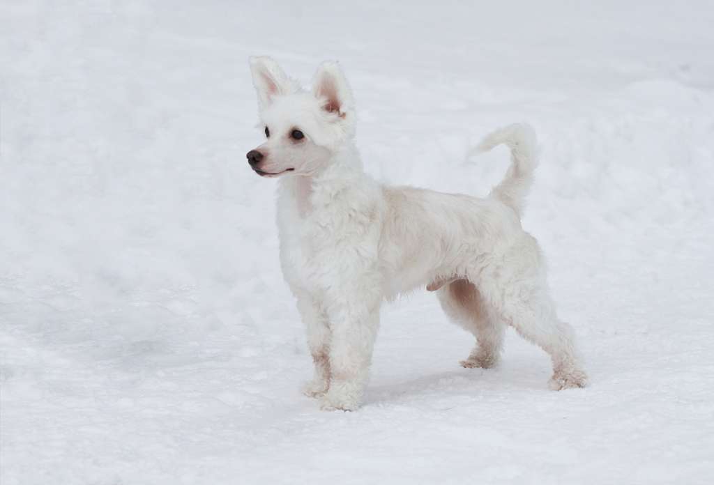 Viuvaun It's My Party