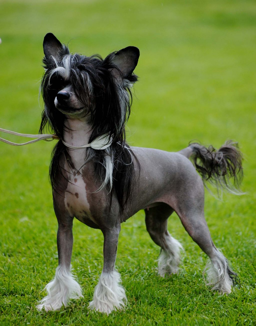 Sun-Hee's Drop It Like It's Hot