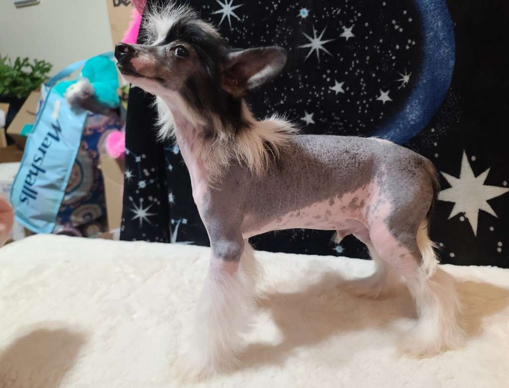 Long Haul's What Are You Asking Me For?