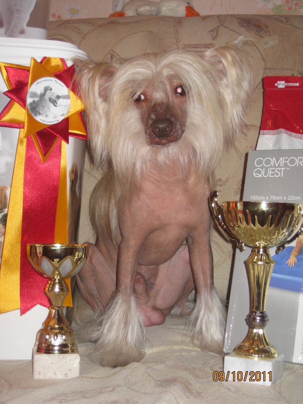 Karnelius Maltijskij Rycar