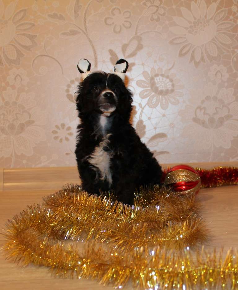 Magnet Success E....