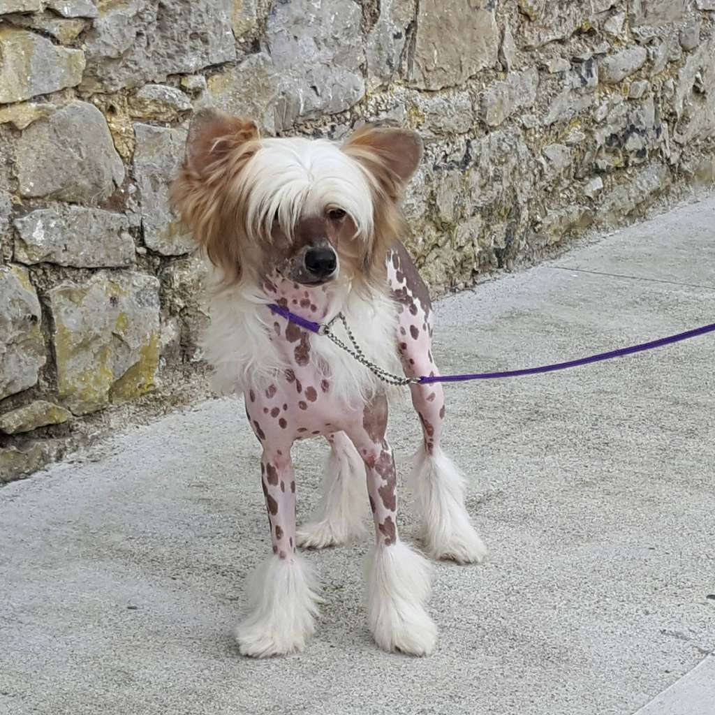 Talltales Quantum Of Solace