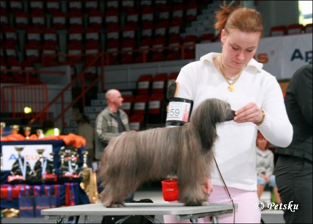 Kaunisvirran Pinja Prinsessa