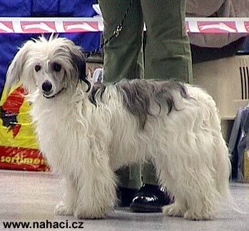 Ares Candy ze Zeme pokladu