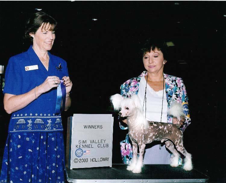 Babylon Golden Eye Of Ra