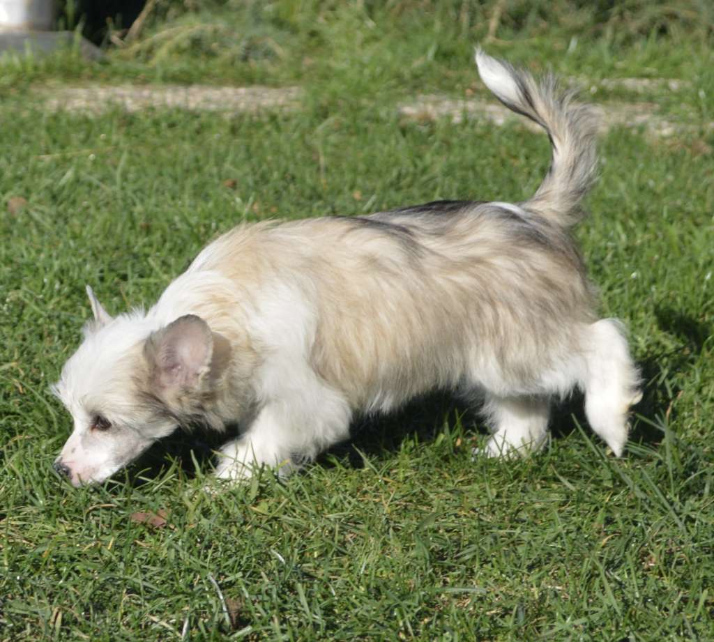 My Girl von Shinbashi