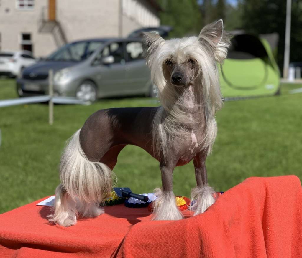 Picture