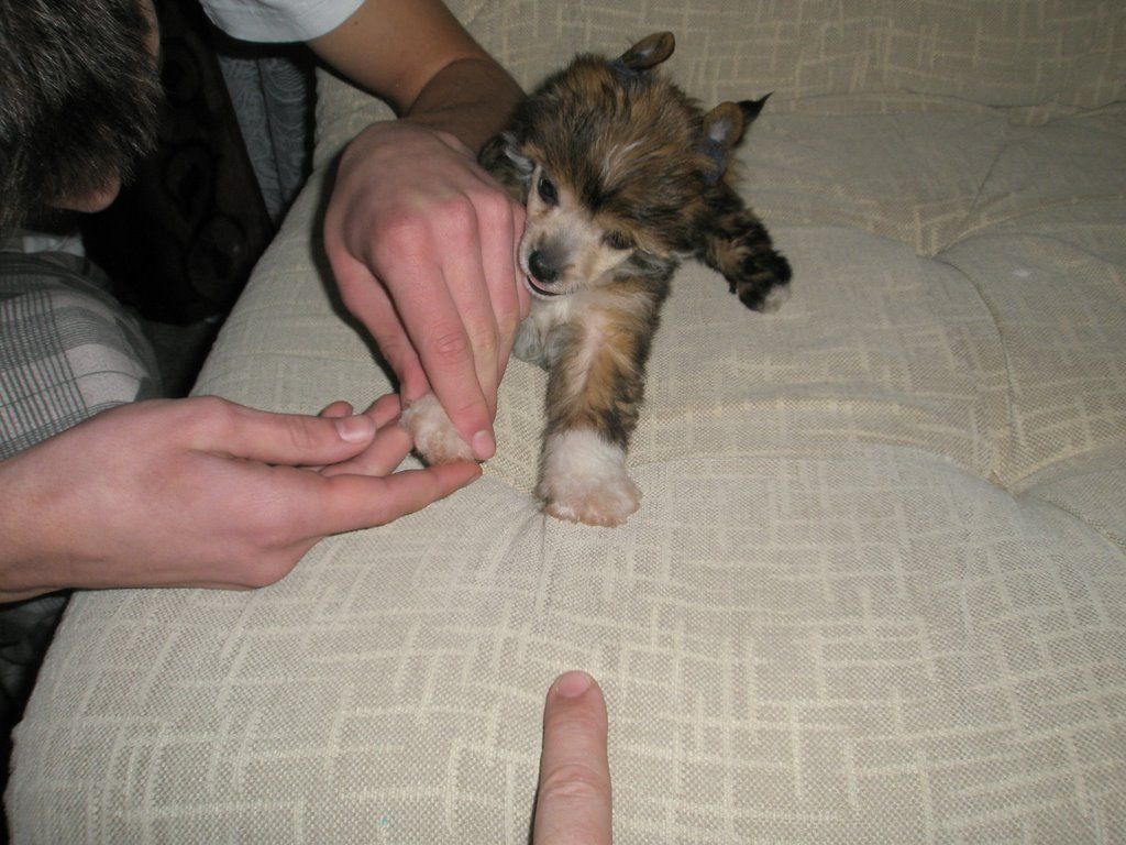 Picture