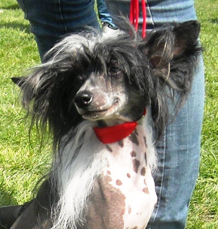 Zorrazo Sweetest Thing