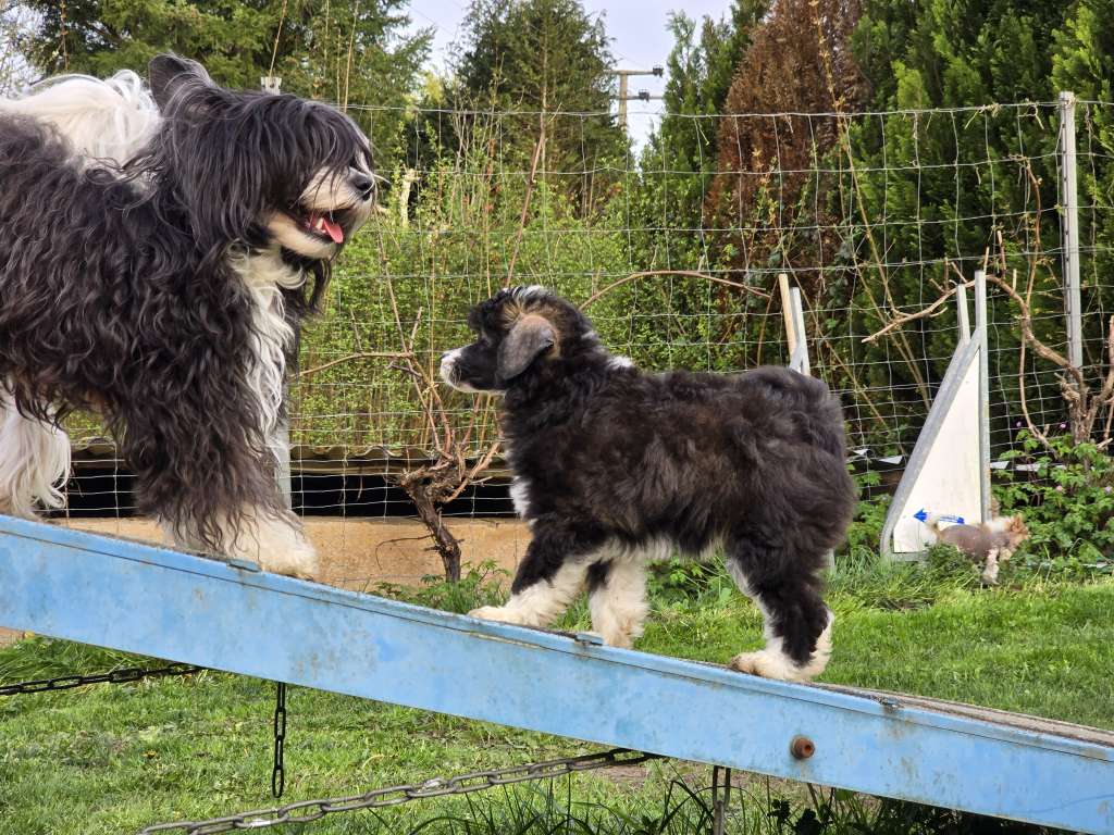 Be Lucky von den Weinbergswölfen