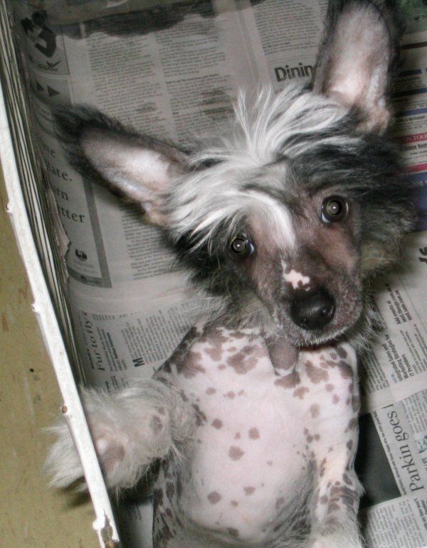 Picture