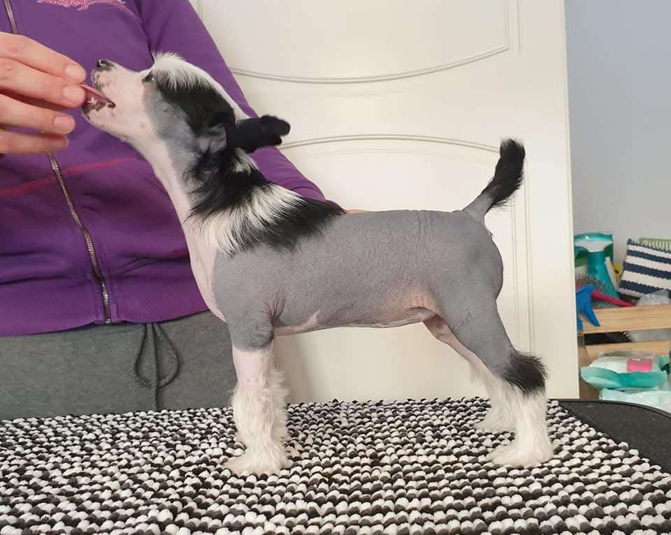 Viuvaun Never Miss A Kiss