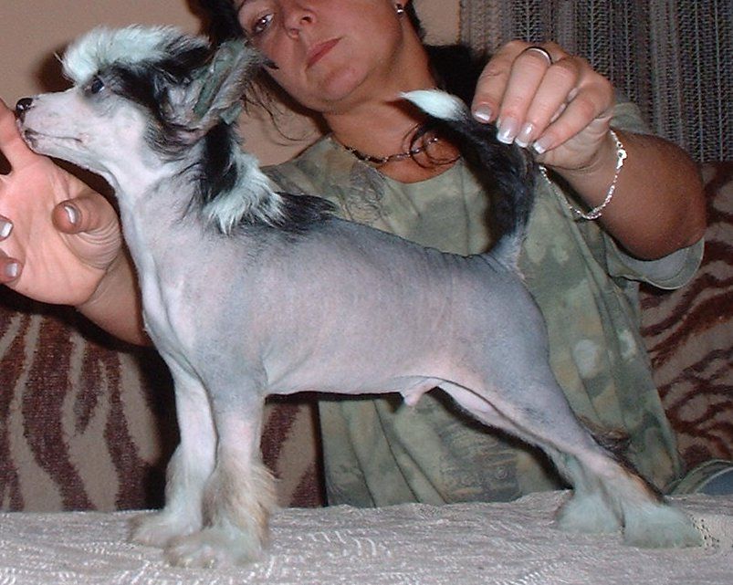 Valerius z Jasne hvezdy