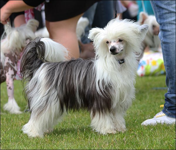 Reject's Seven Heaven