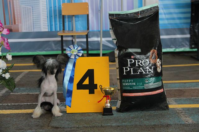 Abigail  Biatrissa Smith