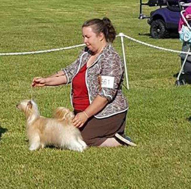 Tokelry Bopar Diva Castafiore