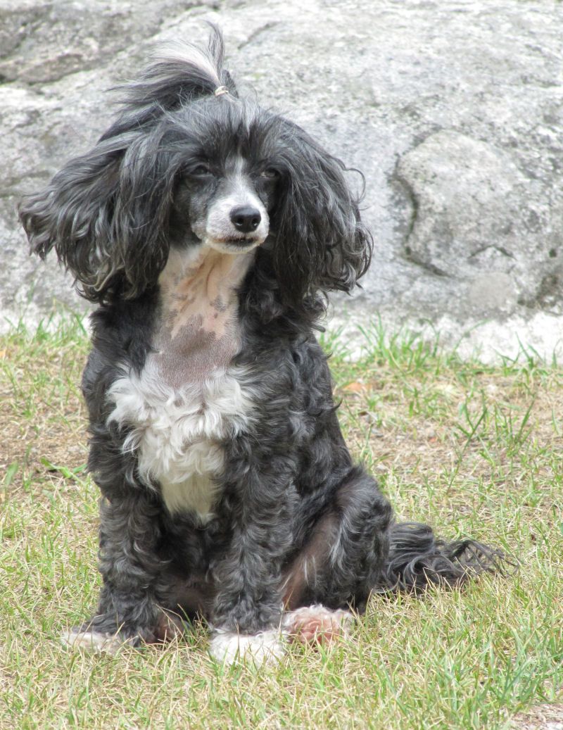 Kaunisvirran Aina Piisku