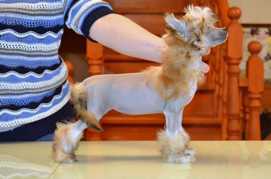 Grand Sunlife  Yunessa