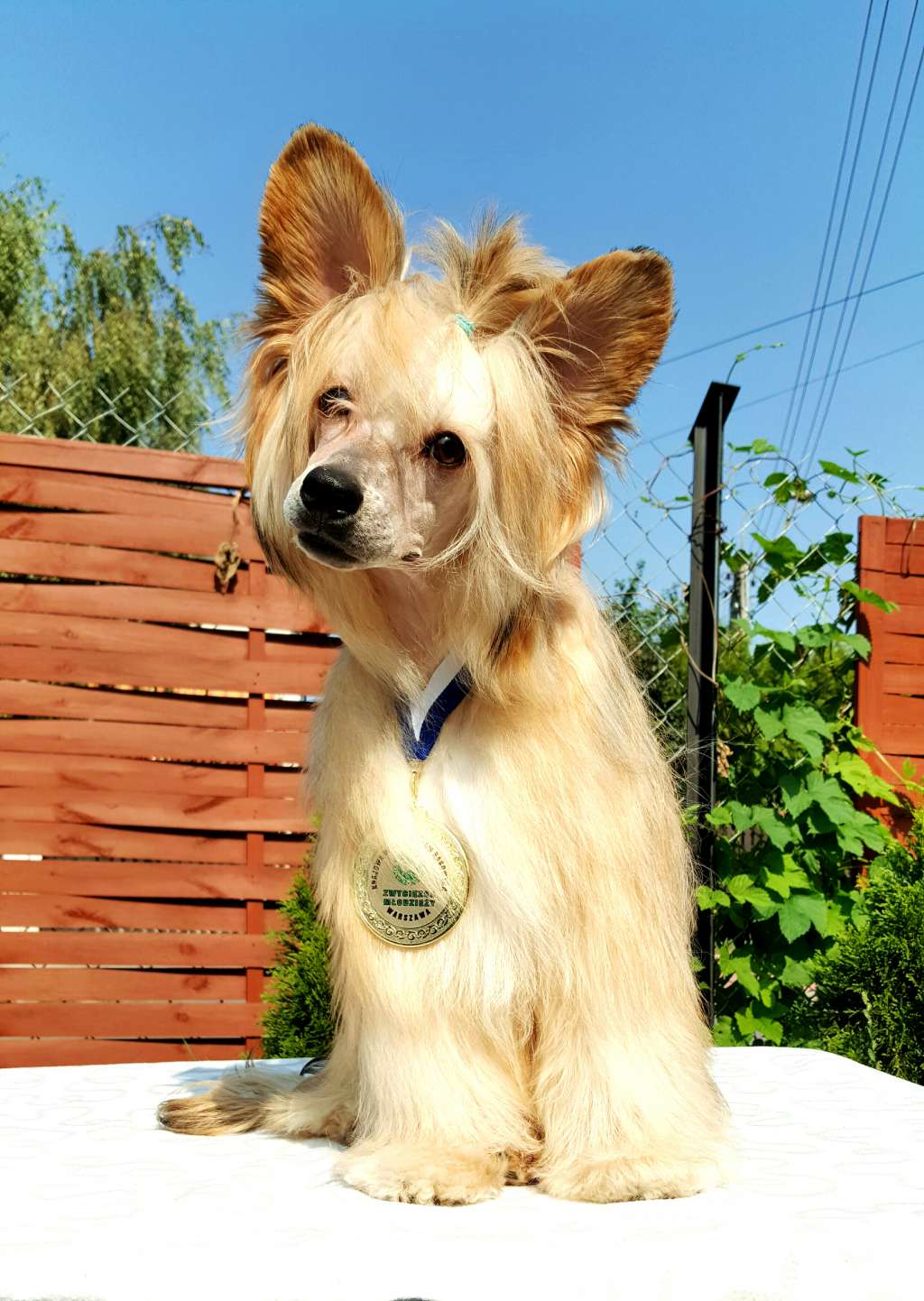 Zone Of Bravery Mor Leanai