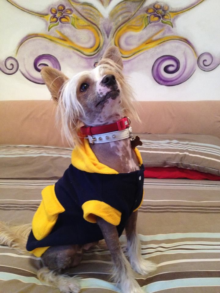 Maxwell Wind of Change