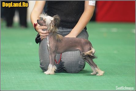 Rus Foreva Dear Devly