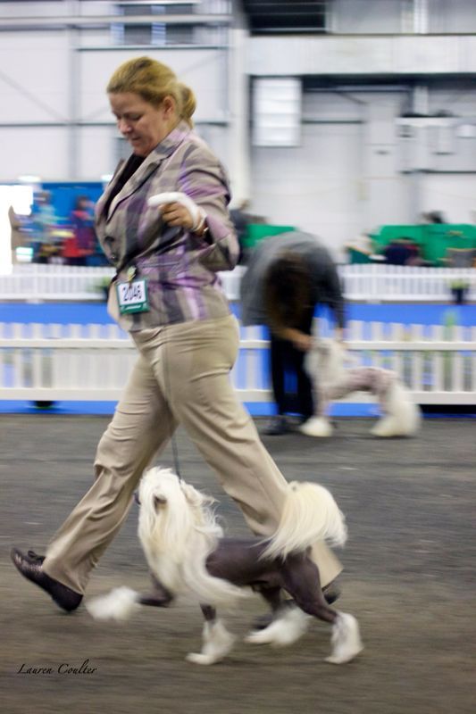 Solino's Avant Garde