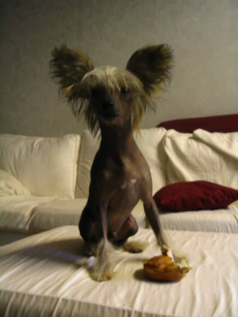 Magic'N Mystic Hells Fire