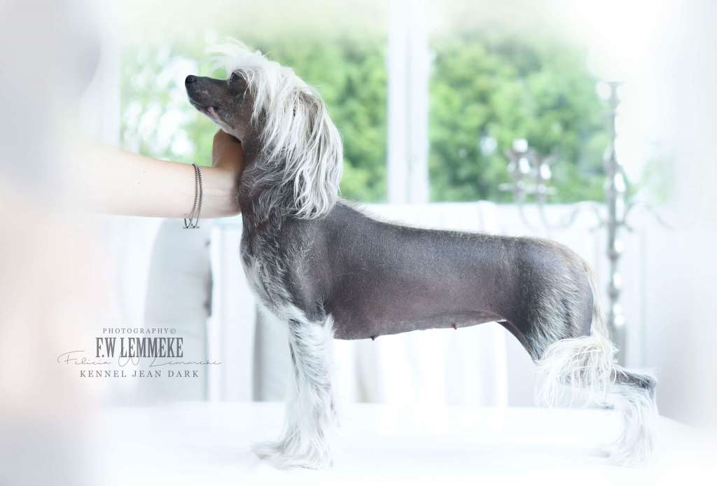 Jean Dark Here Comes The Sun