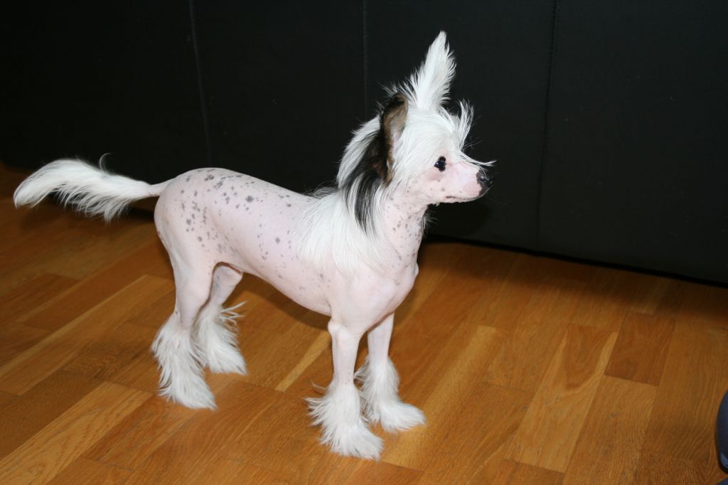 Kaa Won's Bet The Pot