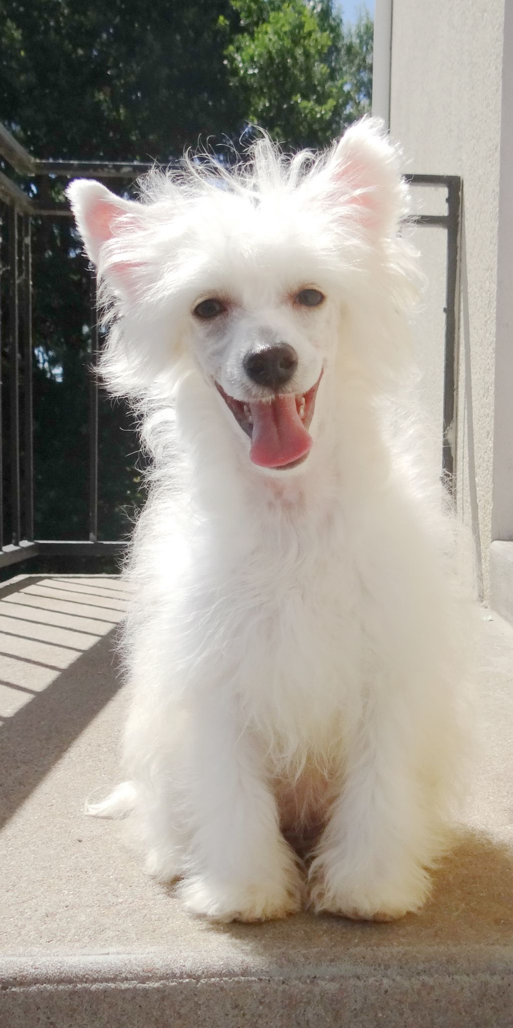 Krasotka Star Indiana Jane