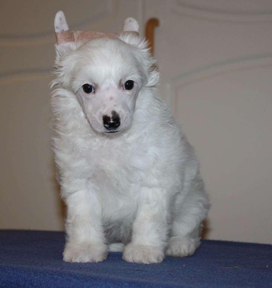 Viuvaun Does Your Mama Know About Me