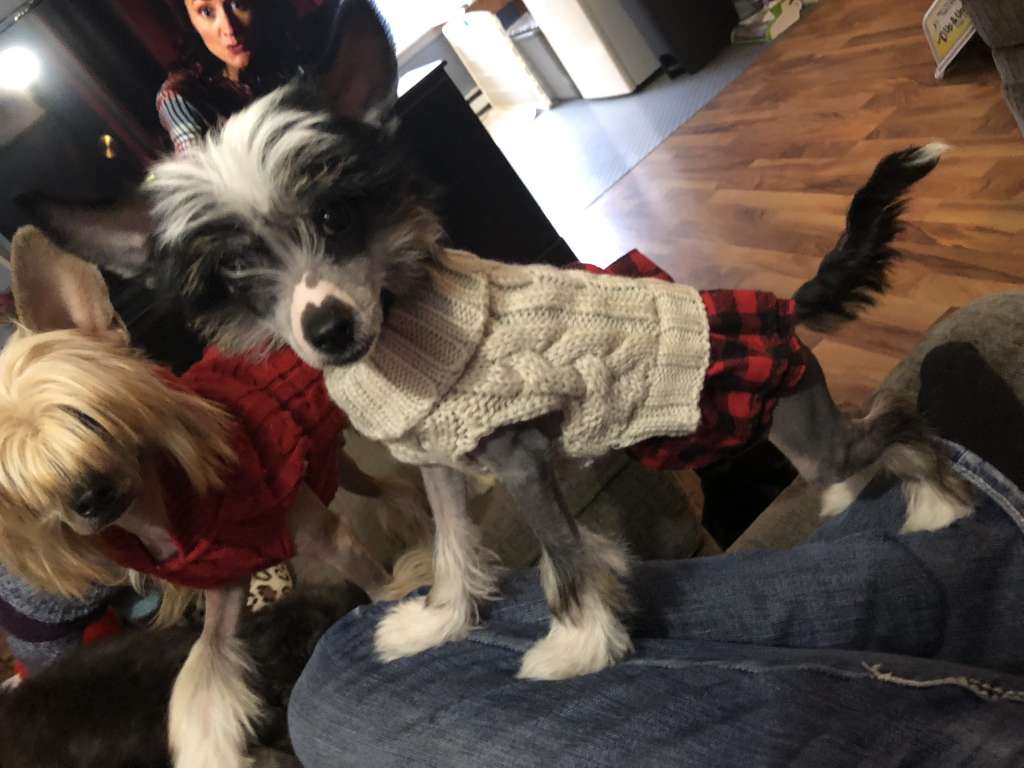 Renagades rumors made me famous