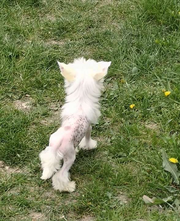 Fundoklia-völgyi Kaszanics Ankara