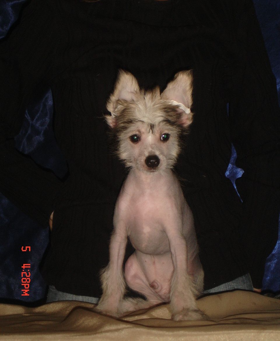 Rouber Balt Explorer San