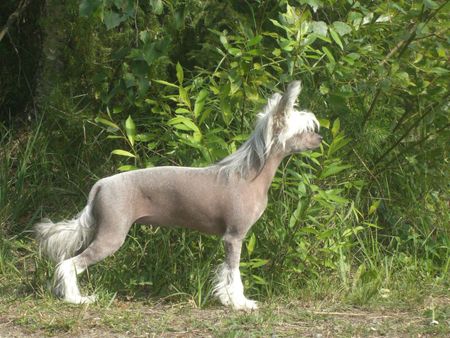 Zhannel's Squeeze Me