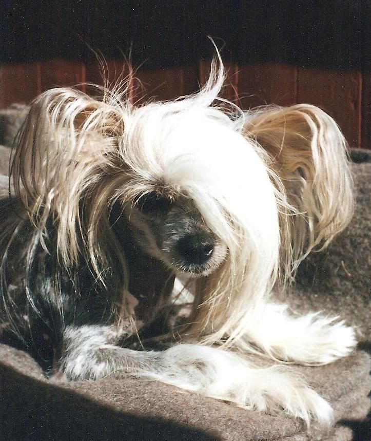 Grankottens Vårstormen