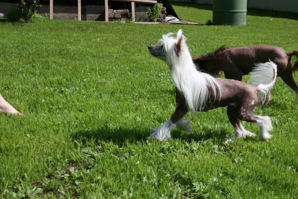 Subway Heavenly Blondy