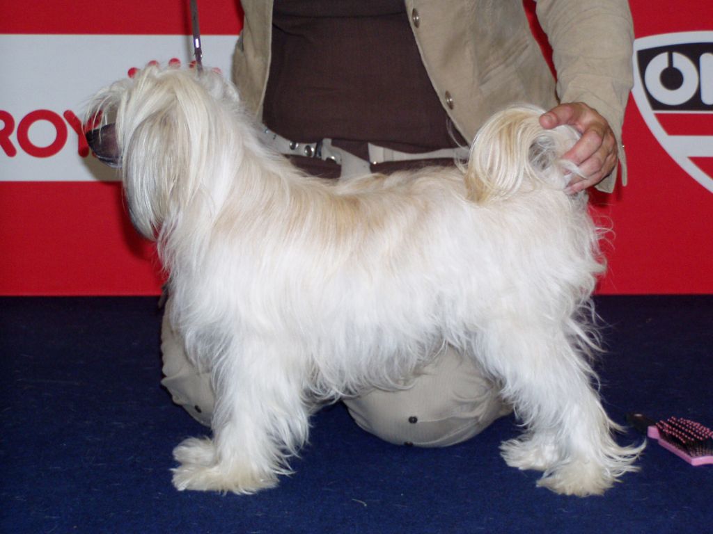 Laureola's Hope of the Future