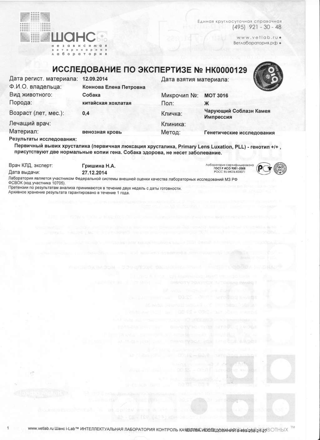 Charuyuschiy Soblazn Kameya Impressiya