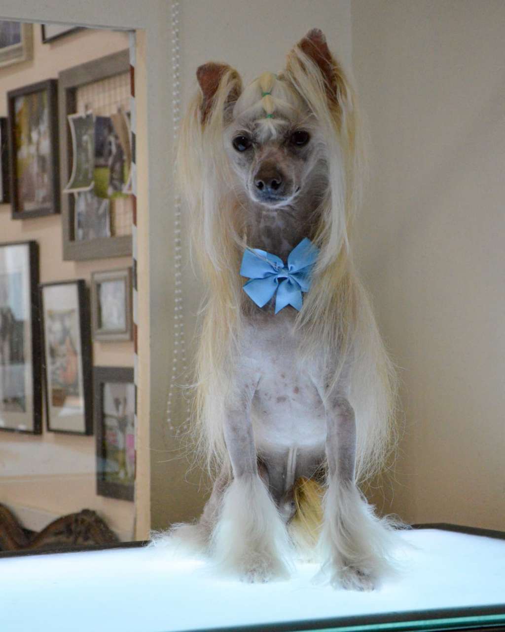 Nux Loveland Fantasy