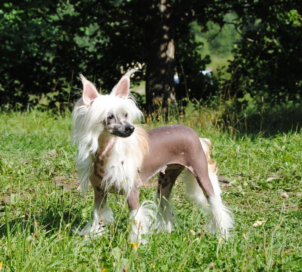 Picture