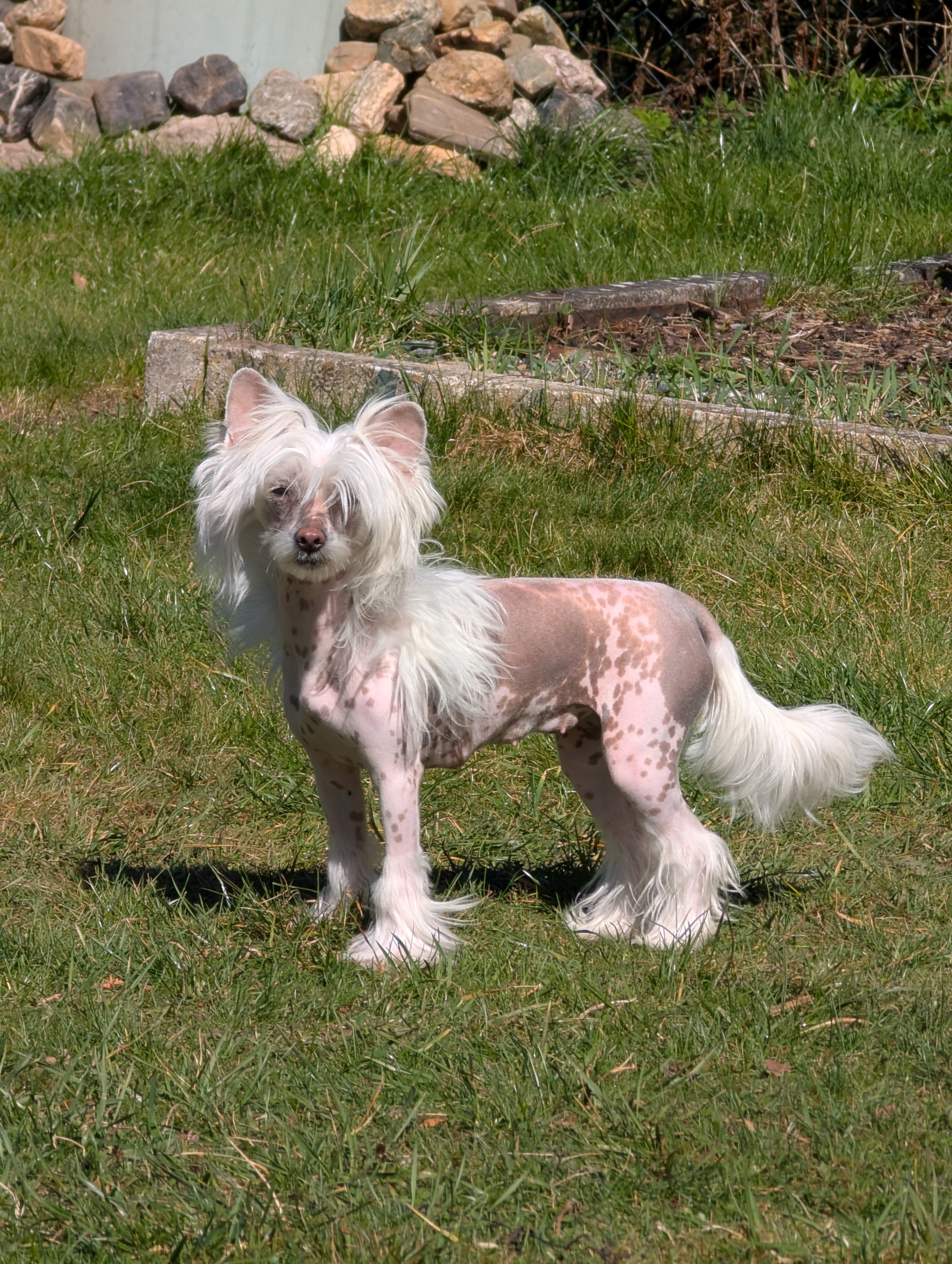 Zayali von Shinbashi 