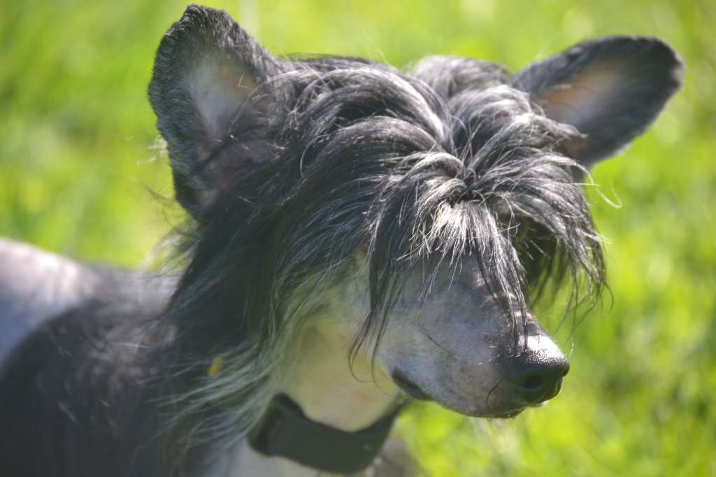 Ketrin Kristol Avatar