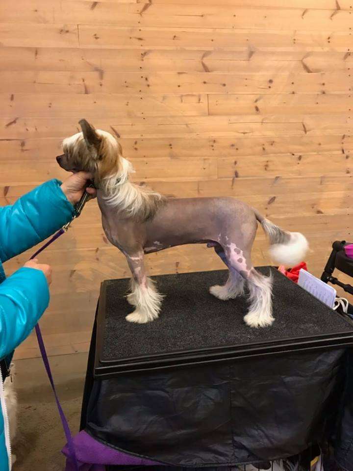 Beachcrest Wake Me Up