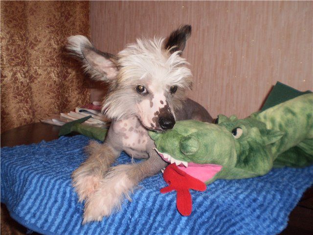 Gallaktik Demir Jonny Depp