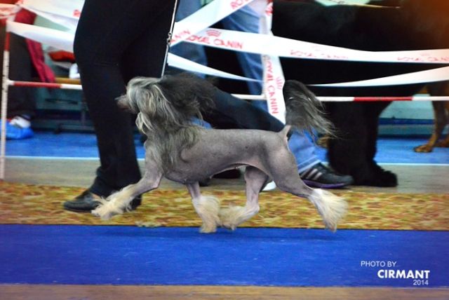 Sun-Hee's Lips So Lushes