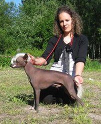 Monti Rei Villi Velikolepnyi