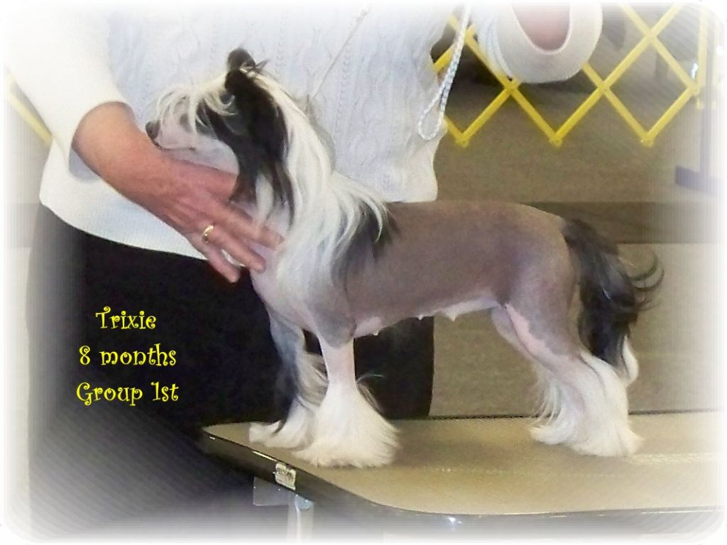 Pixietail Trix R for Kids