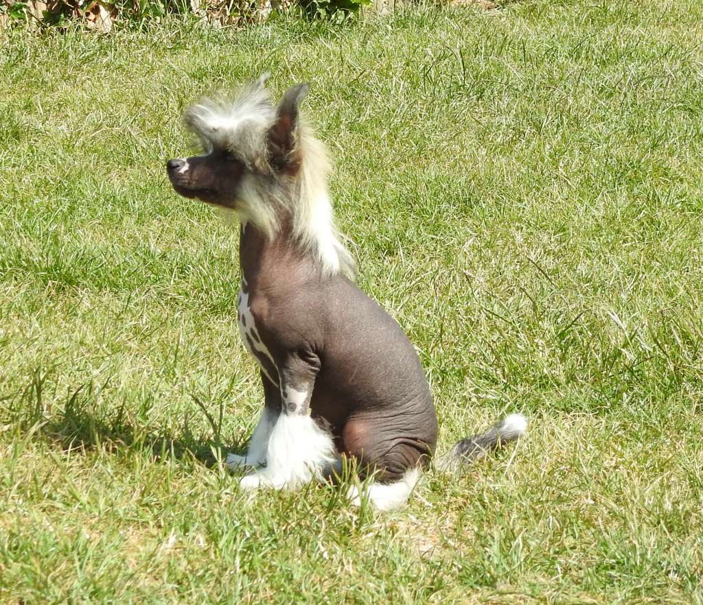 Zero Tolerance Triple X